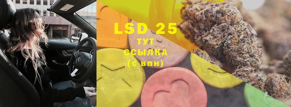 PSILOCYBIN Алзамай