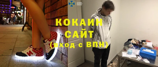 соль ск Алексин