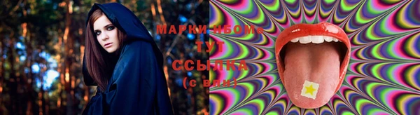 PSILOCYBIN Алзамай