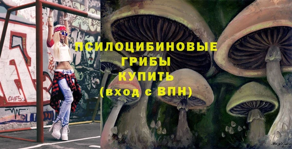 твердый Алексеевка