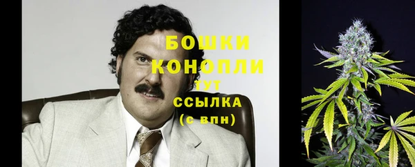 PSILOCYBIN Алзамай