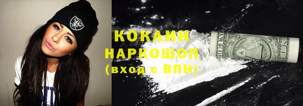 соль ск Алексин