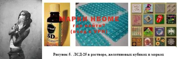 PSILOCYBIN Алзамай