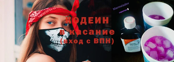 PSILOCYBIN Алзамай
