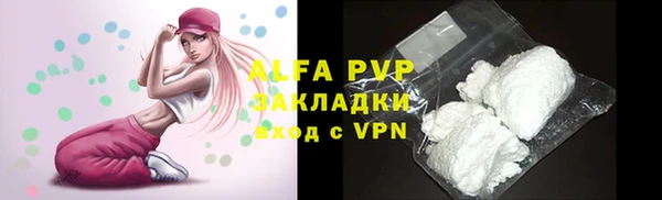PSILOCYBIN Алзамай