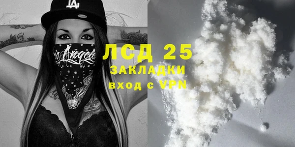 PSILOCYBIN Алзамай