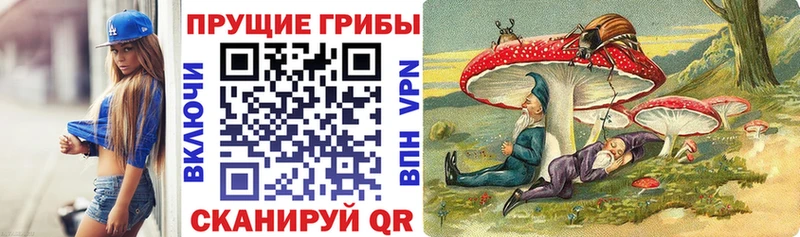 продажа наркотиков  Обнинск  Галлюциногенные грибы MAGIC MUSHROOMS 